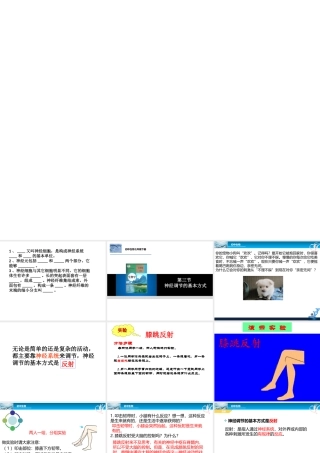 八年级生物下册 4.6.3 神经调节的基本方式课件 鲁科版-鲁科级下册生物课件