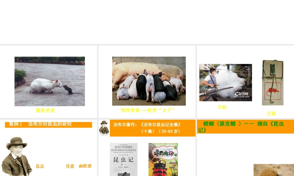 八年级生物上册《研究动物行为的方法》课件2 北师大版