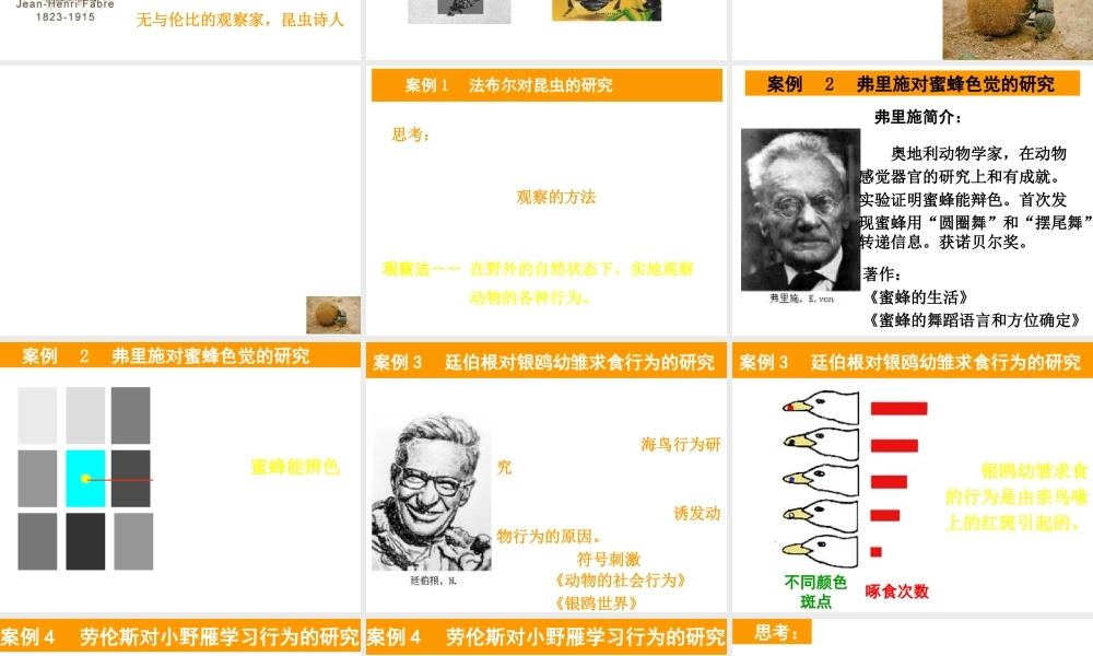 八年级生物上册《研究动物行为的方法》课件2 北师大版