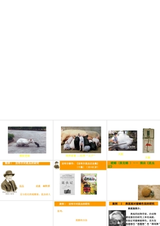 八年级生物上册《研究动物行为的方法》课件2 北师大版