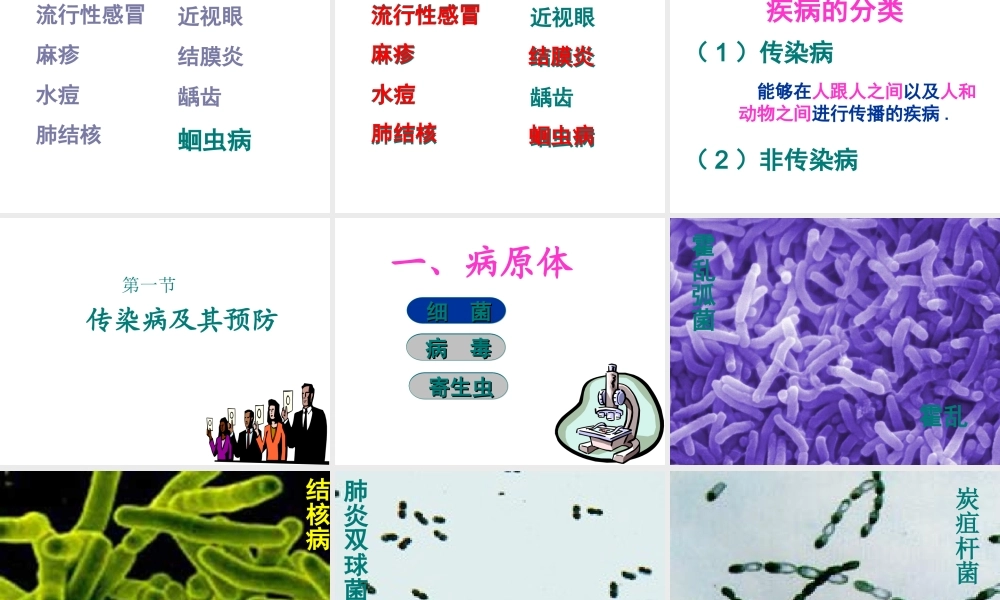 八年级生物下册 8.1.1传染病及其预防课件3 （新版）新人教版-（新版）新人教级下册生物课件