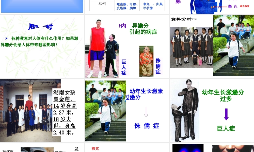 八年级生物下册 4.6.4 激素调节课件1 鲁科版-鲁科版初中八年级下册生物课件