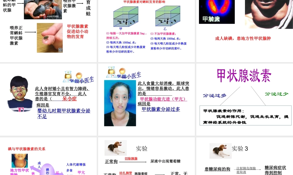 八年级生物下册 4.6.4 激素调节课件1 鲁科版-鲁科版初中八年级下册生物课件