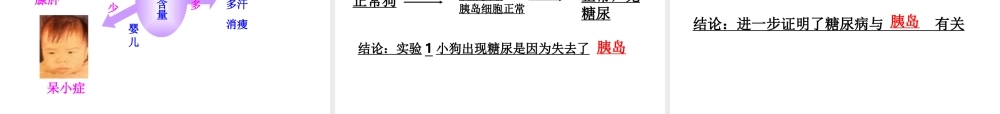 八年级生物下册 4.6.4 激素调节课件1 鲁科版-鲁科版初中八年级下册生物课件