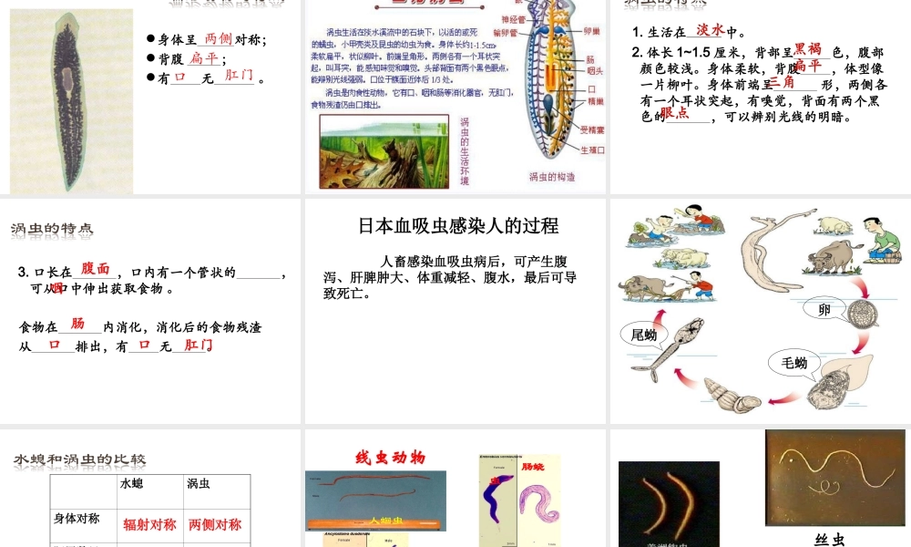 八年级生物上学期期末总复习课件 （新版）新人教版-（新版）新人教版初中八年级全册生物课件