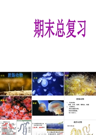 八年级生物上学期期末总复习课件 （新版）新人教版-（新版）新人教版初中八年级全册生物课件