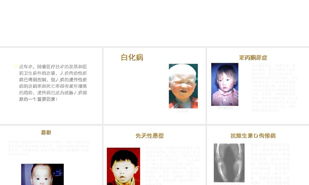 八年级生物上册《遗传病和人类健康》课件1 北师大版