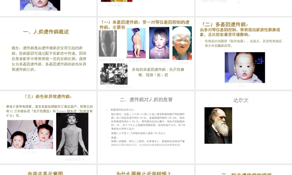 八年级生物上册《遗传病和人类健康》课件1 北师大版