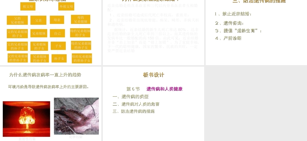 八年级生物上册《遗传病和人类健康》课件1 北师大版