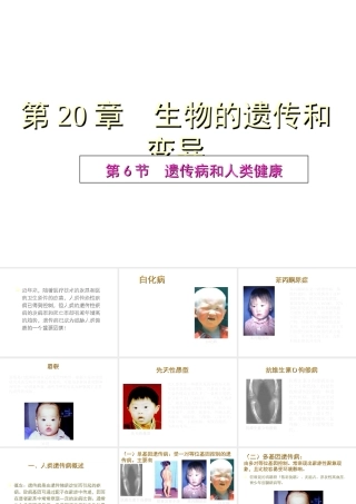 八年级生物上册《遗传病和人类健康》课件1 北师大版