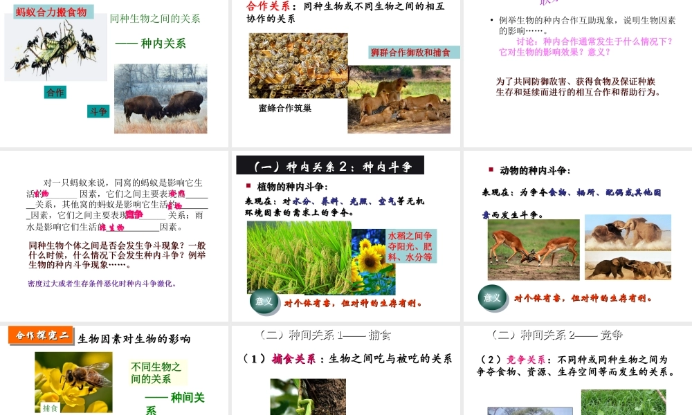 八年级生物下册 6.1.1 环境对生物的作用课件 （新版）济南版-（新版）济南版初中八年级下册生物课件