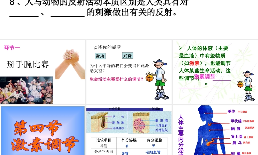 八年级生物下册 4.6.4 激素调节课件1 鲁科版-鲁科级下册生物课件