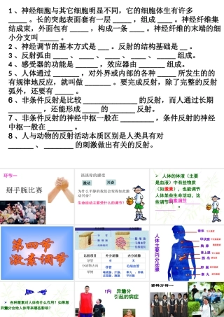 八年级生物下册 4.6.4 激素调节课件1 鲁科版-鲁科级下册生物课件