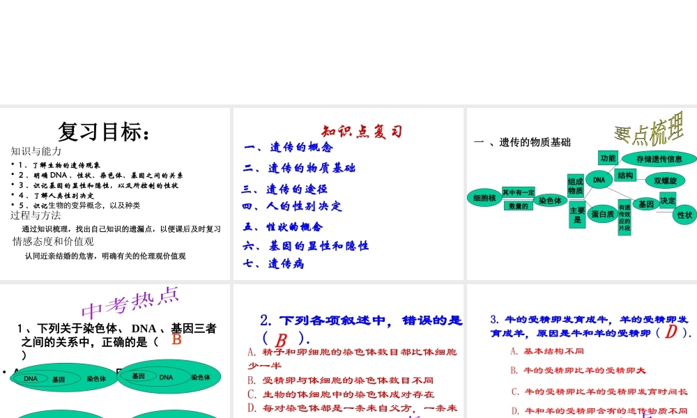 八年级生物上册《遗传和变异》课件 苏教版