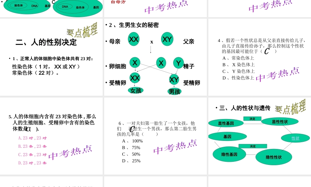 八年级生物上册《遗传和变异》课件 苏教版