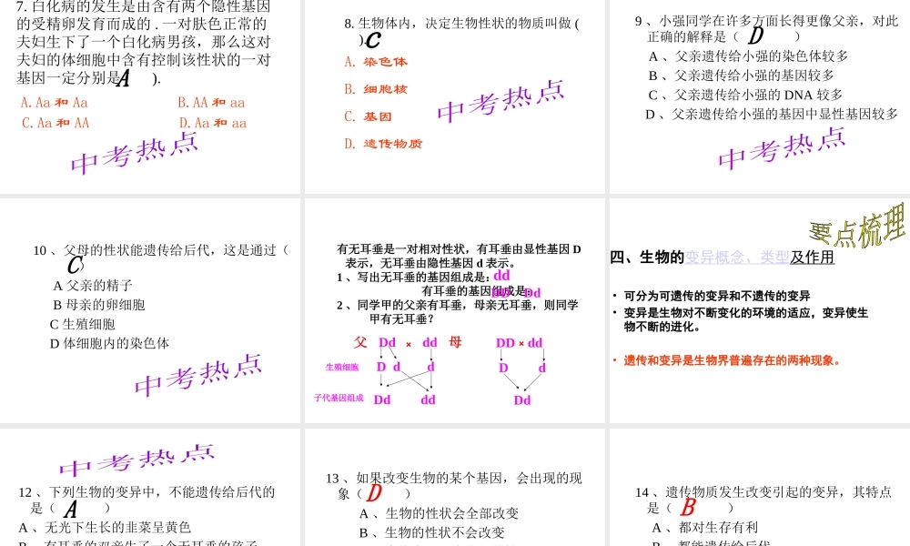 八年级生物上册《遗传和变异》课件 苏教版