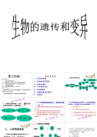 八年级生物上册《遗传和变异》课件 苏教版