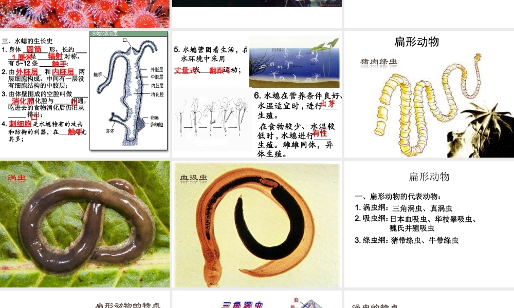 八年级生物上学期期末总复习课件 （新版）新人教版-（新版）新人教级全册生物课件