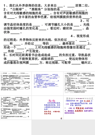 八年级生物下册 4.6.4 激素调节课件2 鲁科版-鲁科级下册生物课件