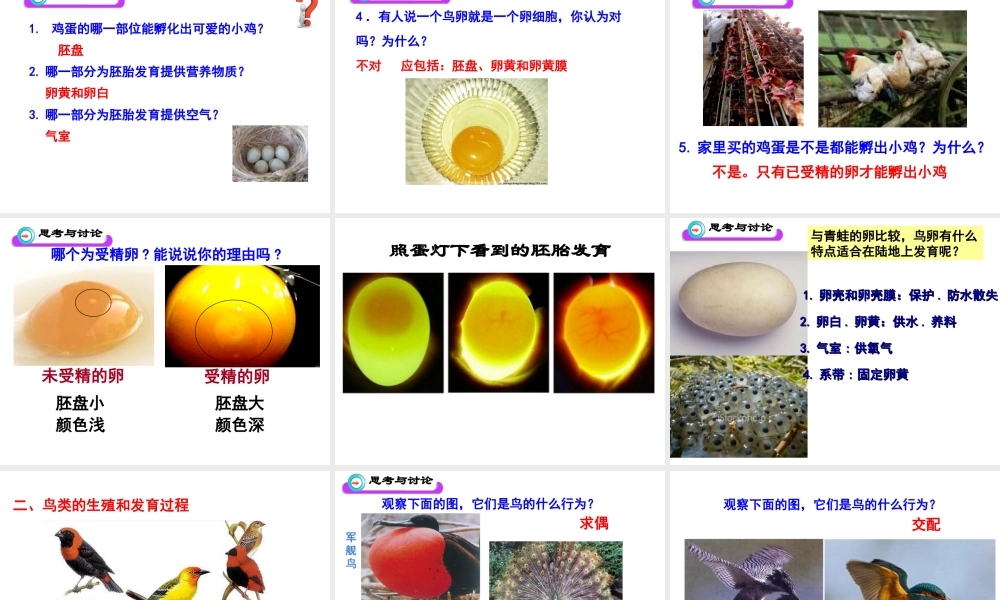 八年级生物下册 7.1.4 鸟的生殖和发育课件（1）（新版）新人教版-（新版）新人教级下册生物课件
