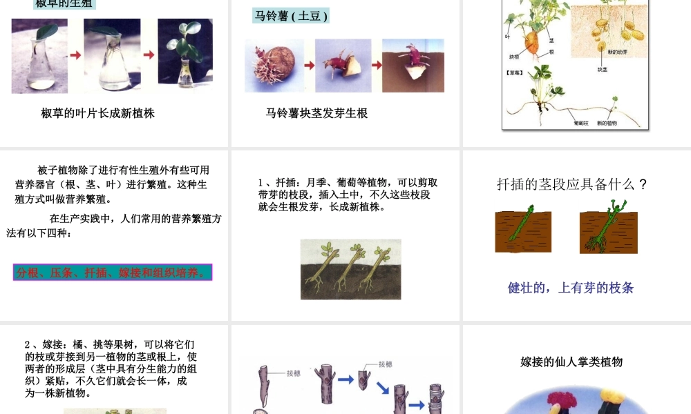 八年级生物下册 1.1 植物的生殖课件 新人教版-新人教版初中八年级下册生物课件
