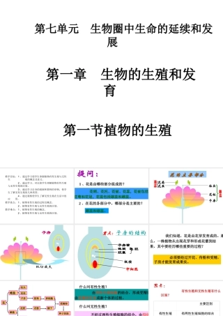 八年级生物下册 1.1 植物的生殖课件 新人教版-新人教版初中八年级下册生物课件