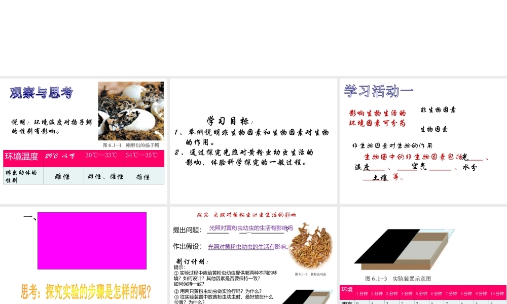 八年级生物下册 6.1.1 环境对生物的作用课件1 （新版）济南版