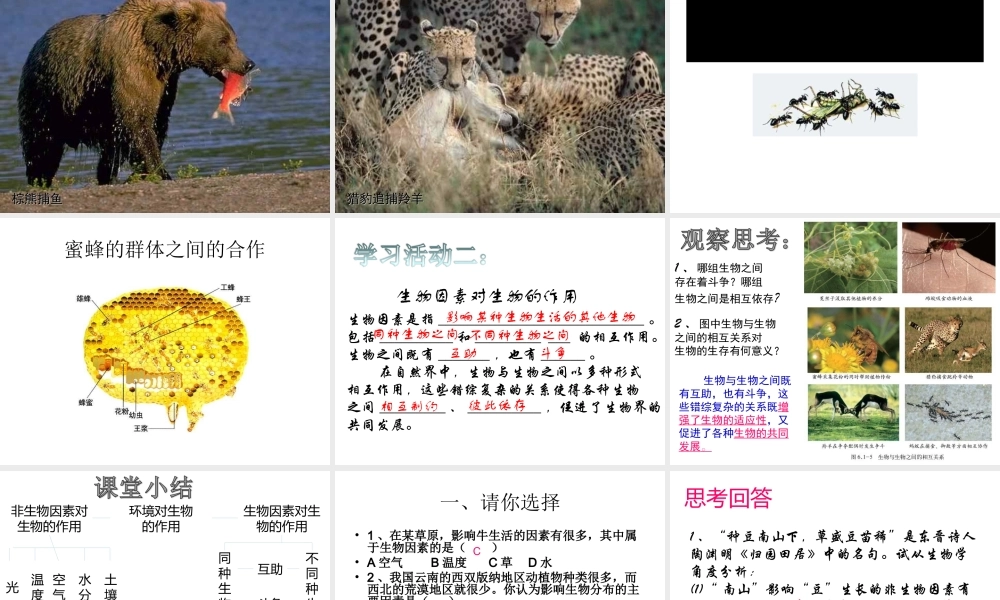 八年级生物下册 6.1.1 环境对生物的作用课件1 （新版）济南版