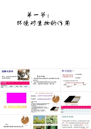 八年级生物下册 6.1.1 环境对生物的作用课件1 （新版）济南版