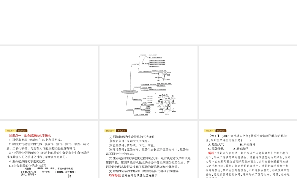八年级生物下册 5.1.1 生命的起源课件 （新版）济南版-（新版）济南版初中八年级下册生物课件