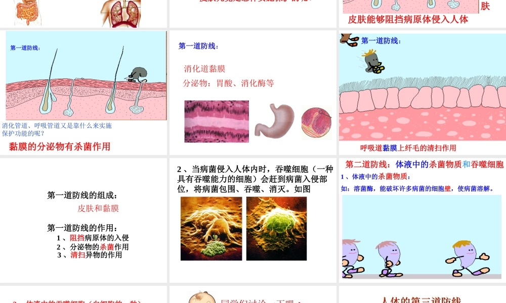 八年级生物下册 8.1.2 免疫和计划免疫课件 （新版）新人教版-（新版）新人教级下册生物课件