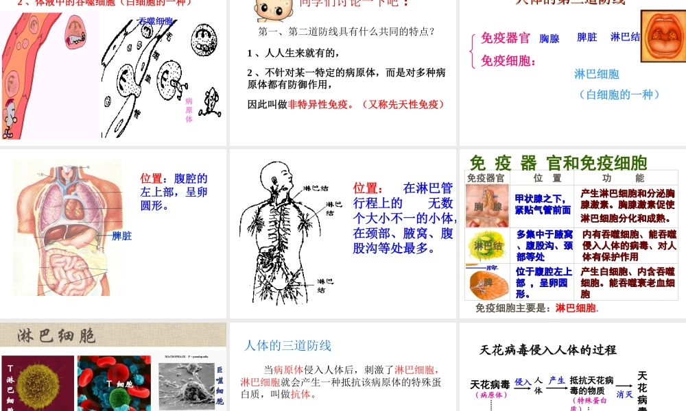 八年级生物下册 8.1.2 免疫和计划免疫课件 （新版）新人教版-（新版）新人教级下册生物课件