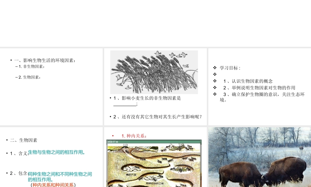 八年级生物下册 6.1.1 环境对生物的作用课件2 （新版）济南版