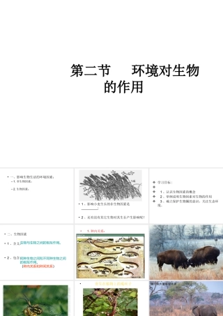 八年级生物下册 6.1.1 环境对生物的作用课件2 （新版）济南版