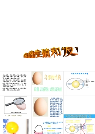 八年级生物下册 7.1.4 鸟的生殖和发育课件（2）（新版）新人教版-（新版）新人教版初中八年级下册生物课件