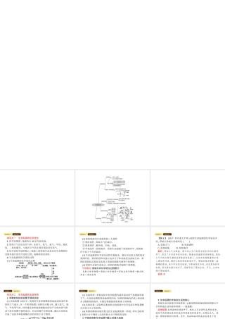 八年级生物下册 5.1.1 生命的起源课件 （新版）济南版-（新版）济南级下册生物课件