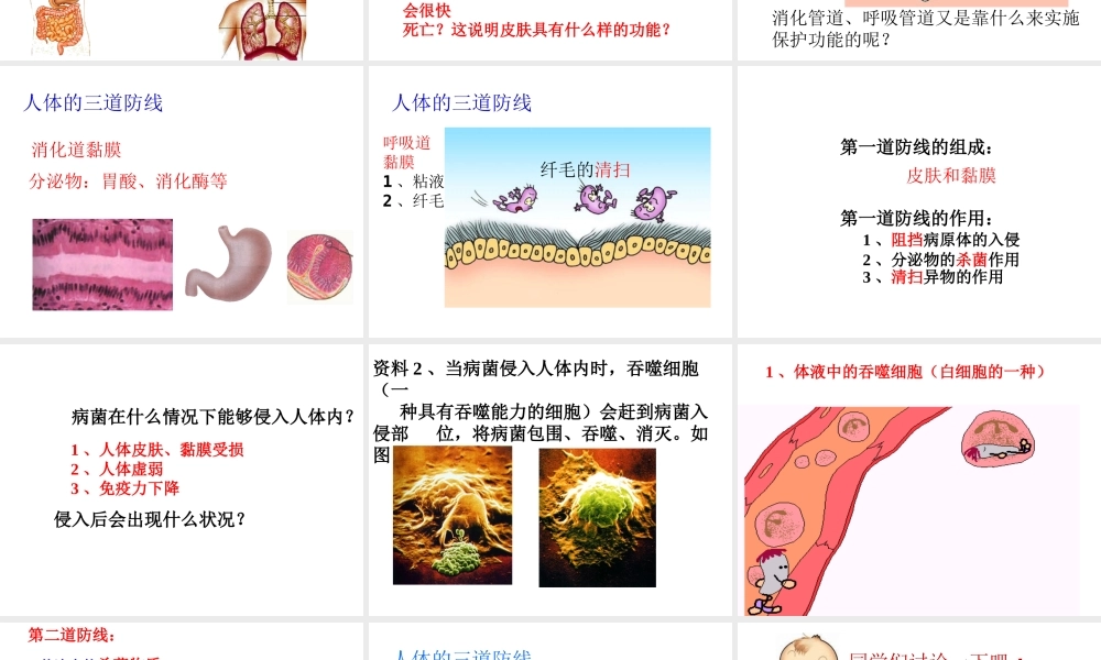 八年级生物下册 8.1.2 免疫和计划免疫课件 新人教版