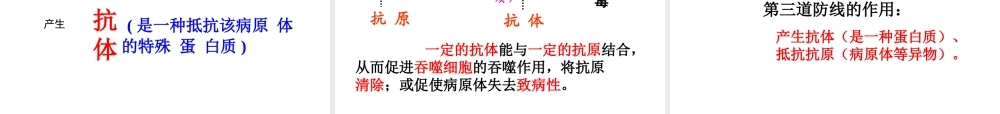 八年级生物下册 8.1.2 免疫和计划免疫课件 新人教版