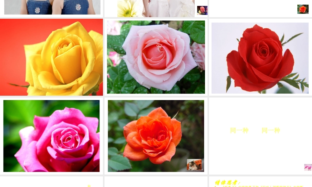 八年级生物上册《遗传和变异现象》课件1 北师大版