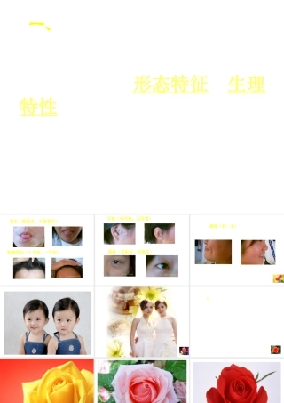 八年级生物上册《遗传和变异现象》课件1 北师大版