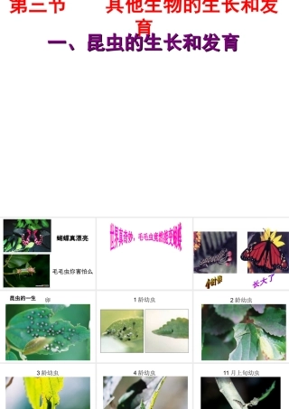 八年级生物下册 1.2 昆虫的生殖和发育课件 （新版）新人教版