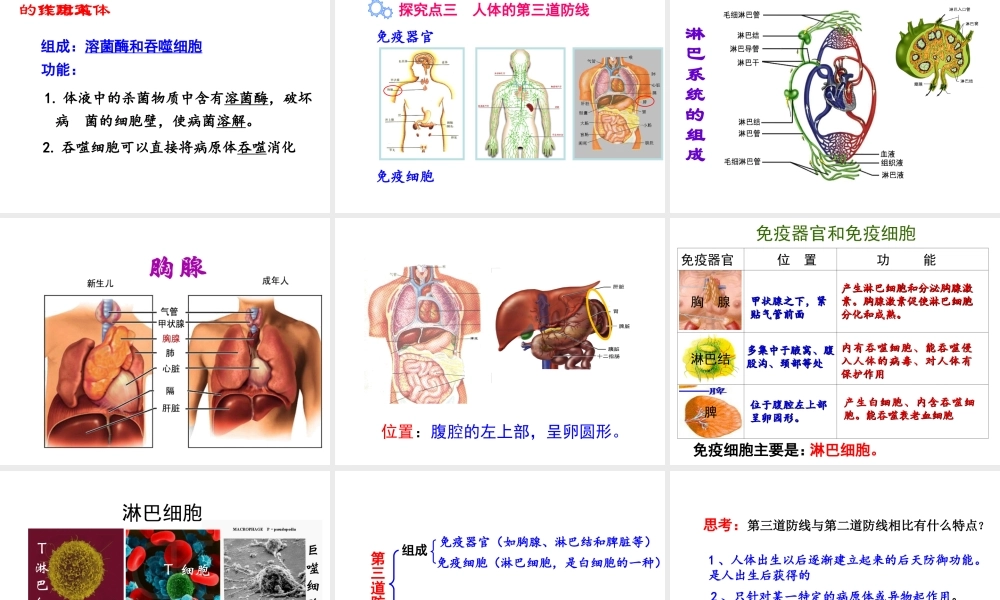八年级生物下册 8.1.2 免疫与计划免疫（第1课时 人体的三道防线）课件 新人教版-新人教版初中八年级下册生物课件