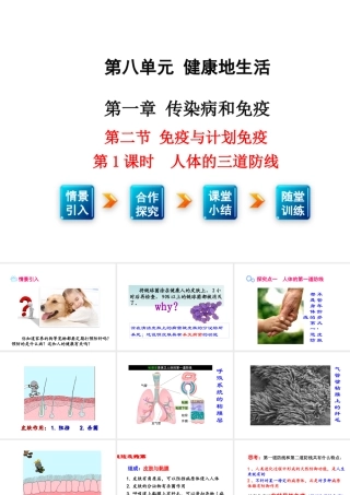 八年级生物下册 8.1.2 免疫与计划免疫（第1课时 人体的三道防线）课件 新人教版-新人教版初中八年级下册生物课件