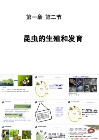 八年级生物下册 1.2 昆虫的生殖和发育课件1 （新版）新人教版-（新版）新人教版初中八年级下册生物课件