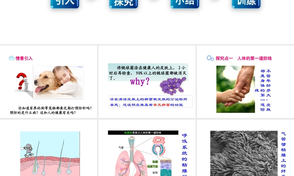 八年级生物下册 8.1.2 免疫与计划免疫（第1课时 人体的三道防线）课件 新人教版-新人教级下册生物课件