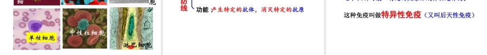 八年级生物下册 8.1.2 免疫与计划免疫（第1课时 人体的三道防线）课件 新人教版-新人教级下册生物课件