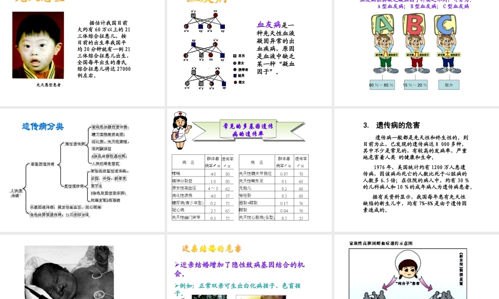 八年级生物上册《遗传和优生优育》》课件 苏教版