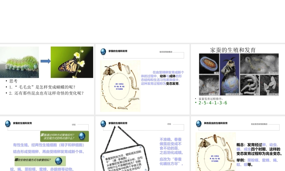 八年级生物下册 1.2 昆虫的生殖和发育课件1 （新版）新人教版-（新版）新人教级下册生物课件