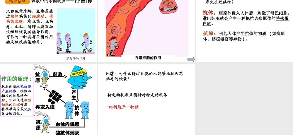 八年级生物下册 8.1.2 免疫与计划免疫（第1课时）课件 新人教版-新人教版初中八年级下册生物课件