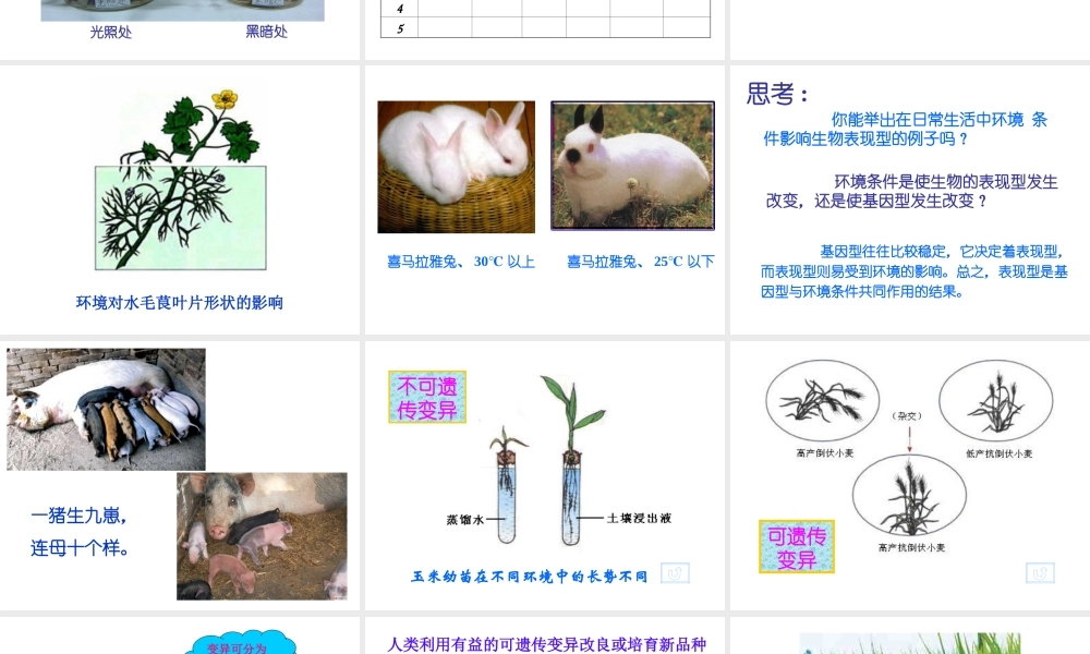 八年级生物上册《遗传与环境》课件1 北师大版